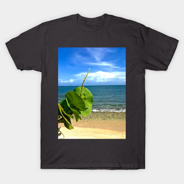 Ocean View T-Shirt by Findley's Art